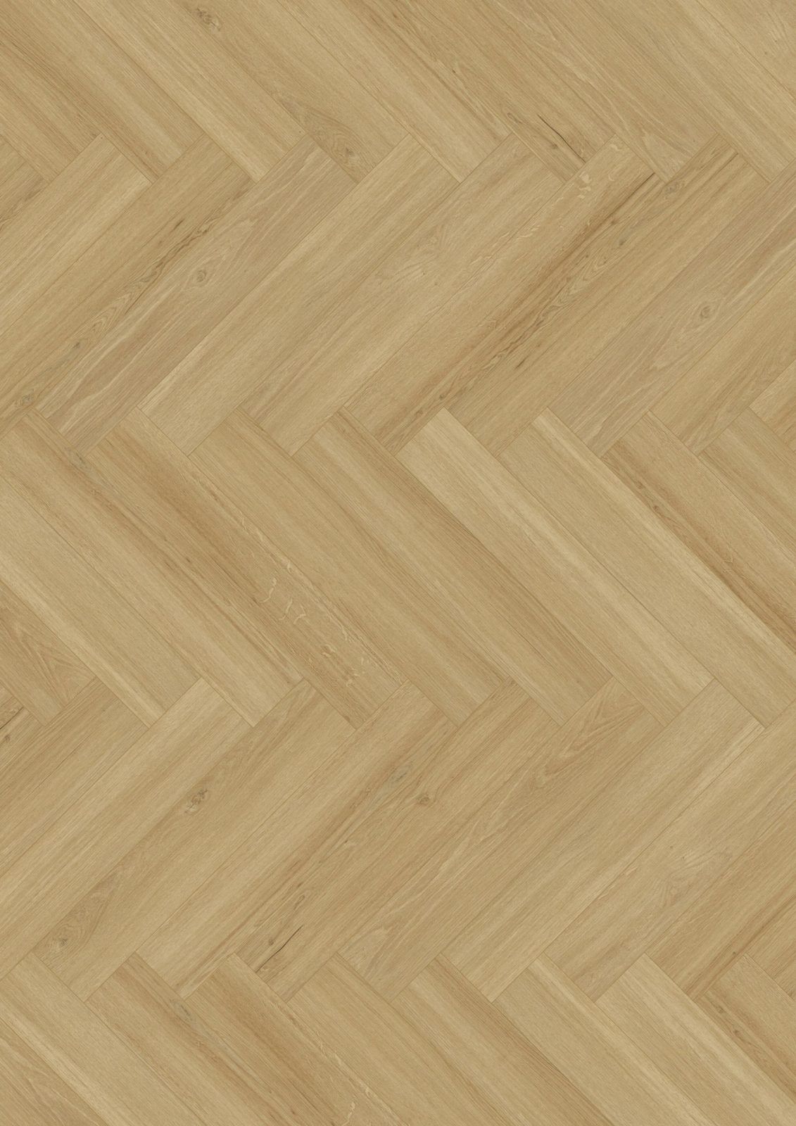 JOKA Designboden 555 Cycle 5380 Incredible Light Oak