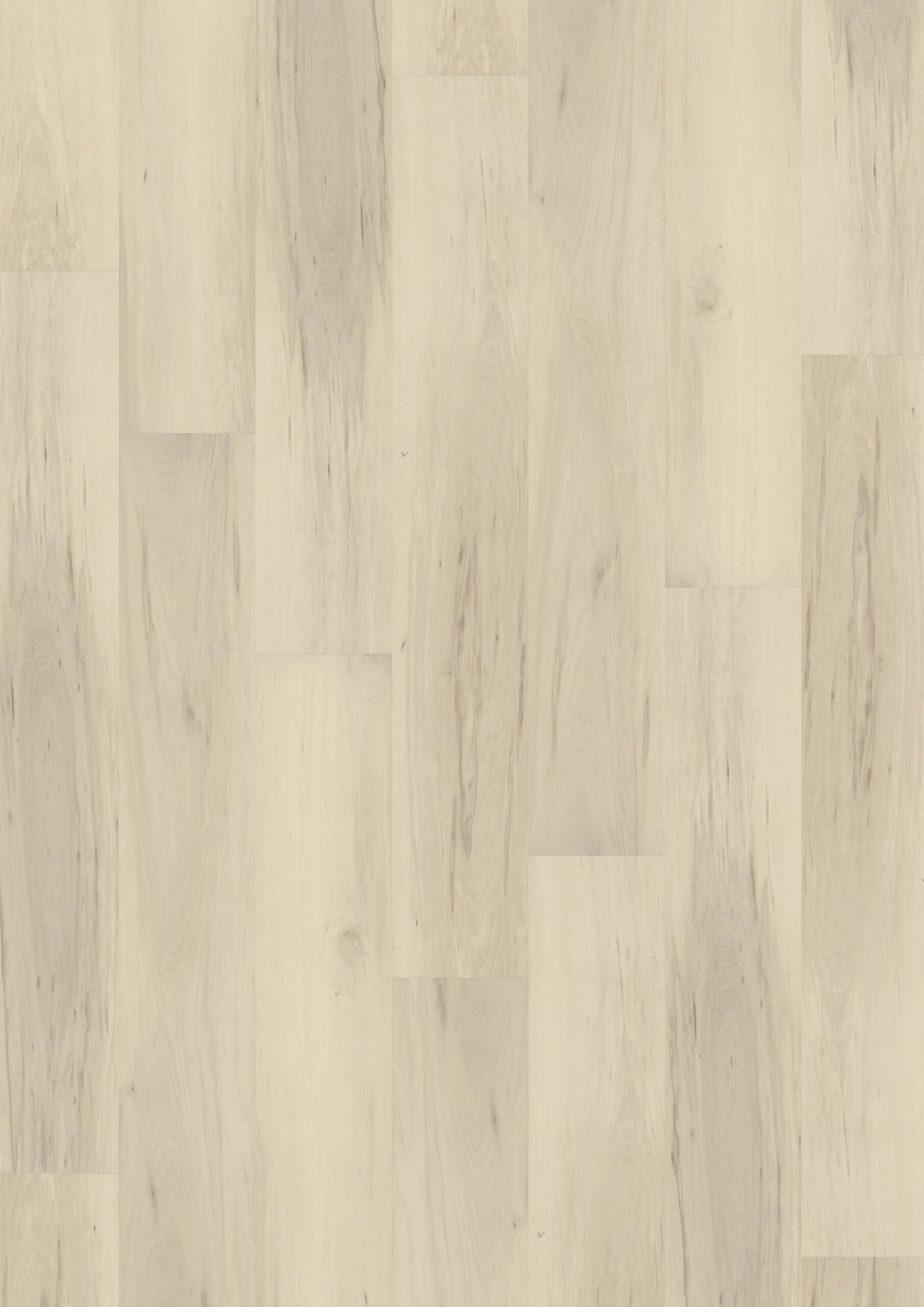 JOKA Classic 340 2851 Milky Maple